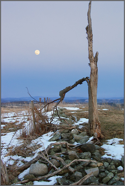 photo "Twilight" tags: landscape, night, spring