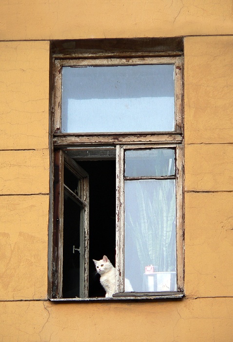 фото "***" метки: разное, архитектура, пейзаж, 