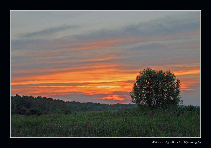 photo "In the middle of a swamp" tags: landscape, clouds, sunset