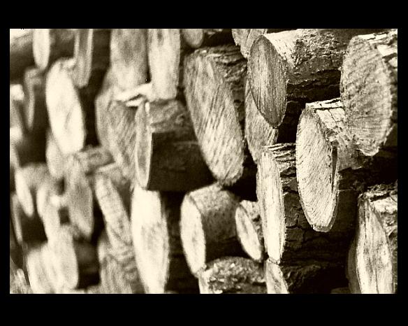 фото "wood" метки: природа, пейзаж, лес