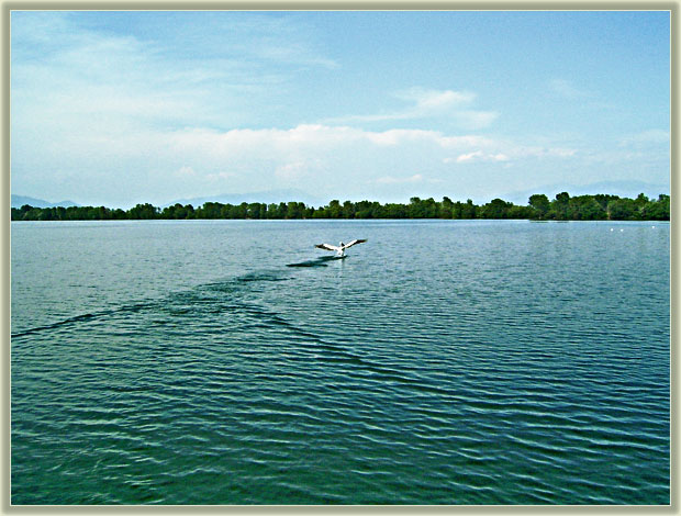 photo "make a splash" tags: genre, landscape, water