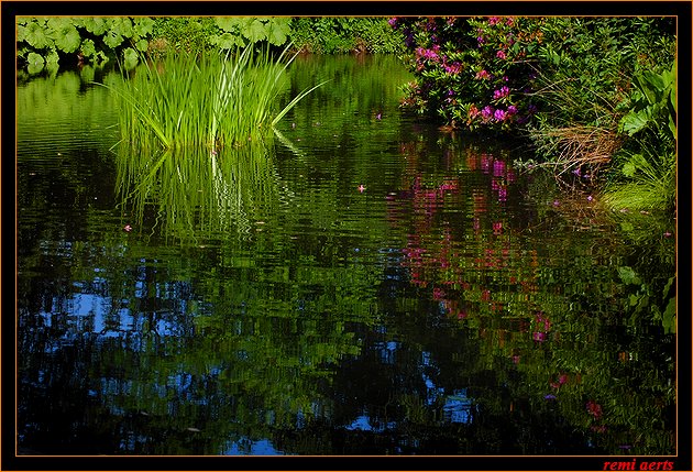 photo "reflection" tags: landscape, spring, water