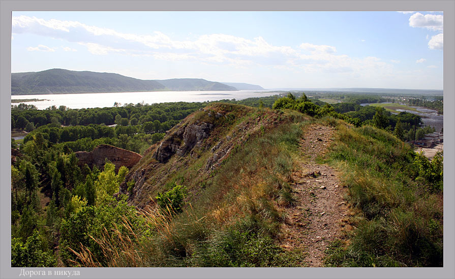 photo "Dear in anywhere" tags: landscape, mountains, summer