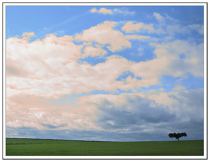 фото "The cork tree" метки: пейзаж, облака