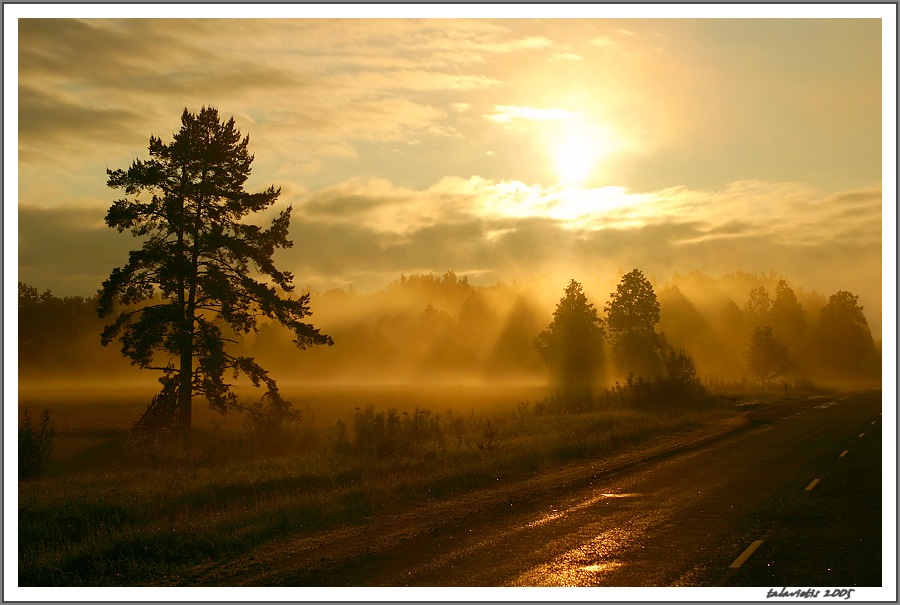 photo "Good morning!" tags: landscape, sunset