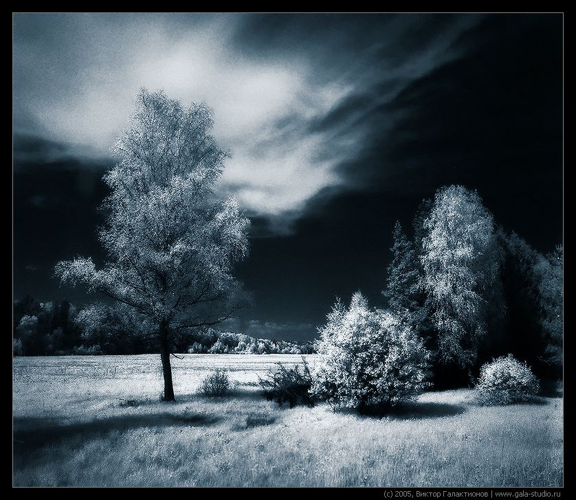 photo "Disturbed sleep" tags: landscape, black&white, night