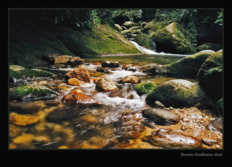 photo "Water Trail" tags: landscape, water