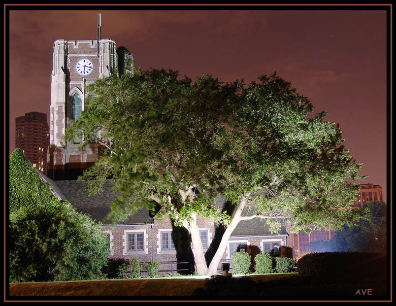 photo "nocturne" tags: landscape, architecture, night