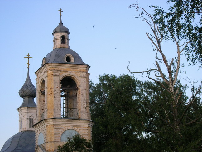 фото "живое и мертвое" метки: архитектура, пейзаж, 