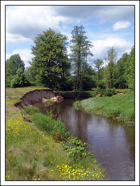 photo "Summer!" tags: landscape, summer