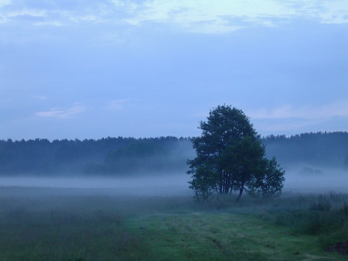photo "Foggy Glade" tags: travel, misc., Europe