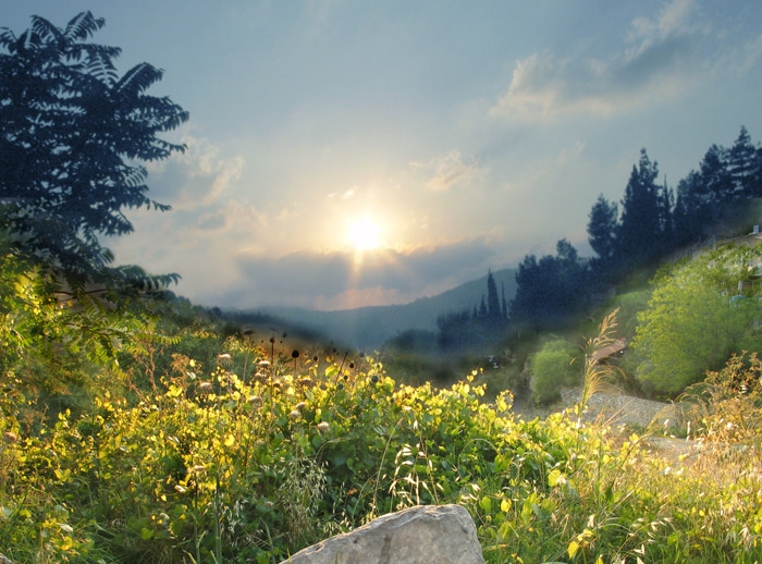 photo "Kinds of Palestin *3" tags: travel, landscape, Asia, spring