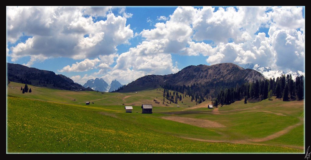 photo "Paradise" tags: misc., 