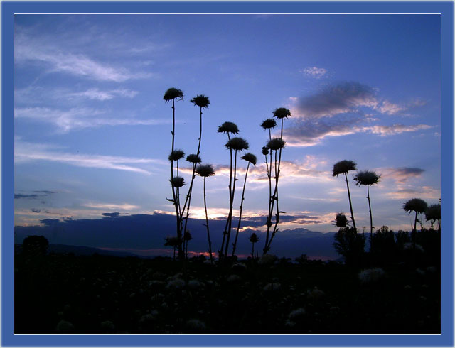 photo "lonely figures" tags: still life, genre, 