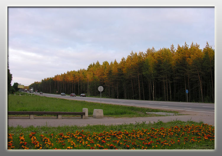 photo "Road home to Moscow" tags: landscape, forest, sunset