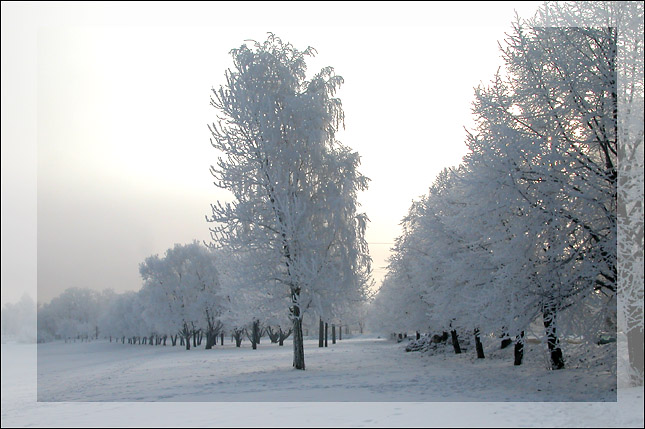 photo "***" tags: landscape, winter