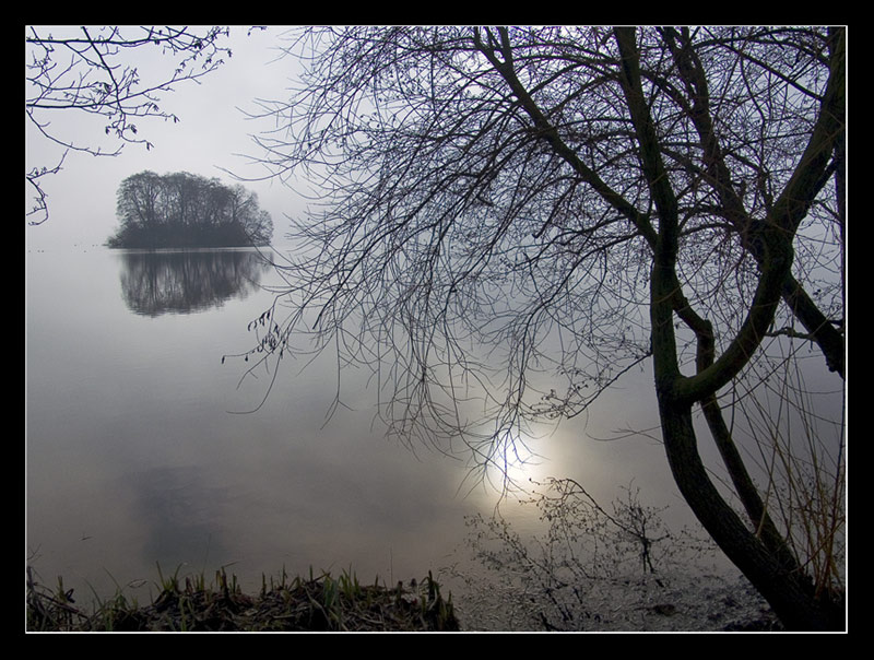 photo "New Morning" tags: misc., 