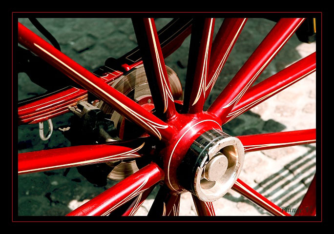 photo "Holland... wheel...." tags: travel, montage, Europe