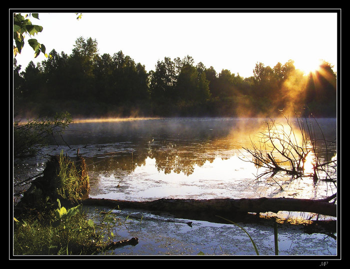 photo "Misty Lake" tags: landscape, sunset, water