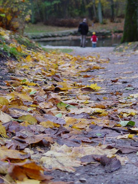 photo "Untitled photo" tags: nature, landscape, autumn