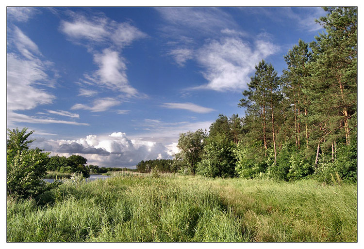 photo "Favourite places" tags: landscape, clouds, forest