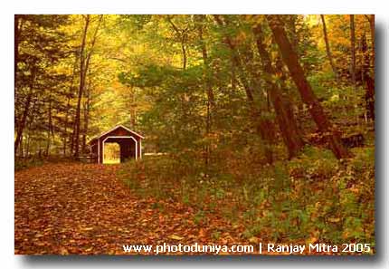 photo "Covered Bridge in Fall, Connecticut" tags: travel, nature, North America