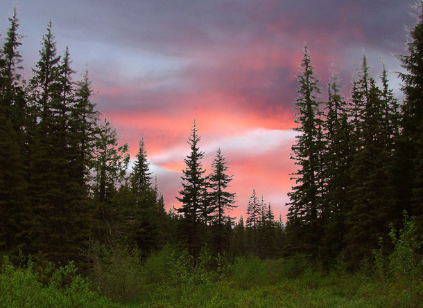 photo "Untitled photo" tags: nature, landscape, sunset