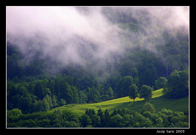 photo "Morning" tags: travel, landscape, Europe, forest
