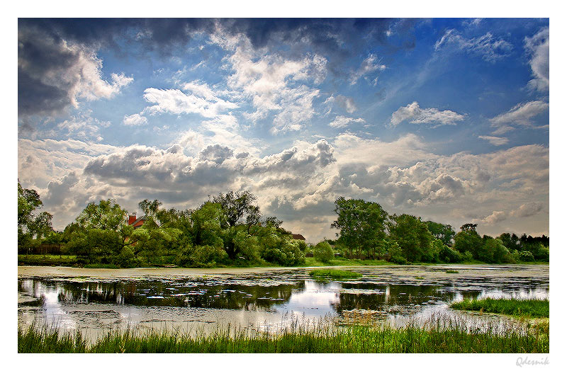 photo "Life under the sky" tags: landscape, summer