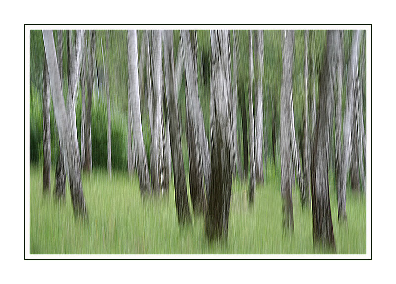 фото "Impressions" метки: абстракция, 