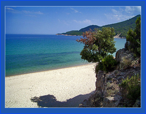 photo "outlook" tags: landscape, summer, water