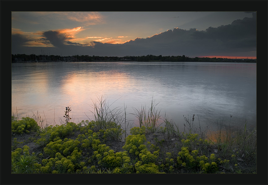 photo "Yellow flowers" tags: landscape, sunset, water