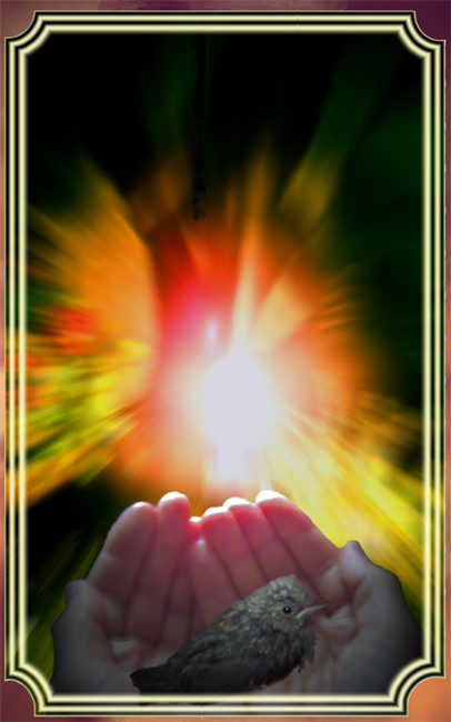 photo "Blessing" tags: montage, genre, 
