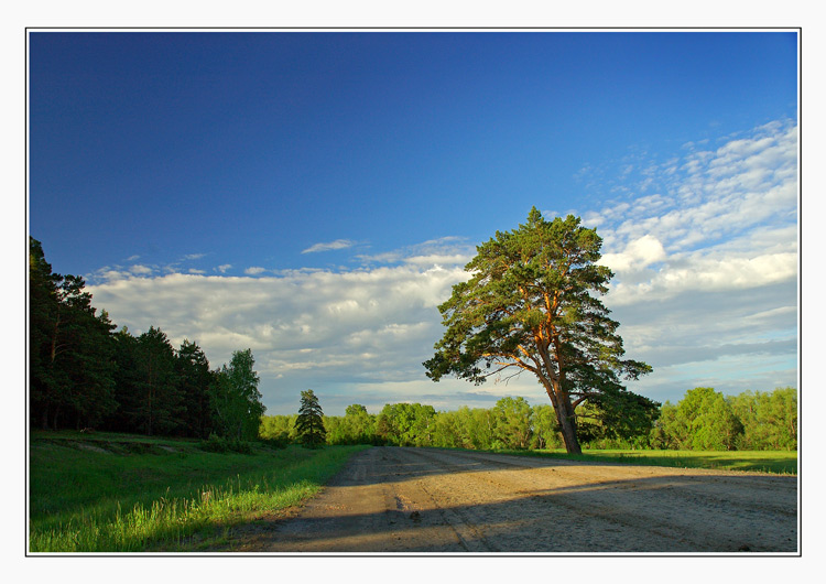 фото "LANDSCAPE" метки: разное, пейзаж, лето