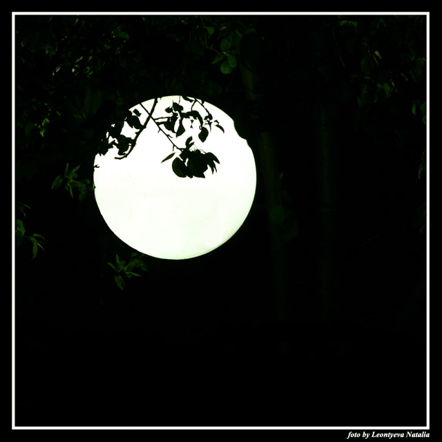photo "Луна.." tags: landscape, genre, night