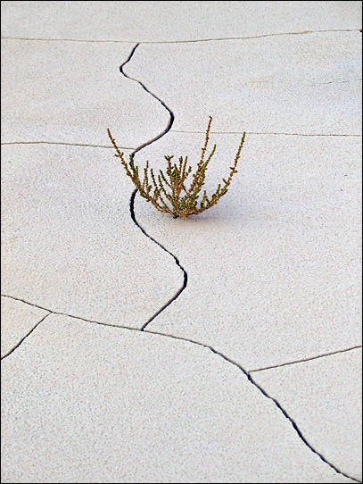 photo "salt desert" tags: travel, nature, Asia