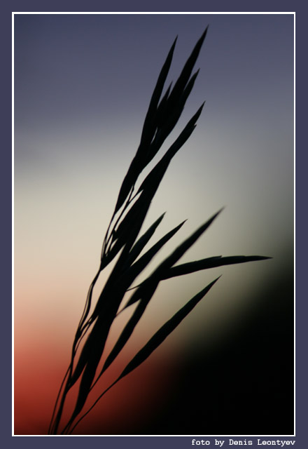 фото "Evening" метки: пейзаж, закат, ночь