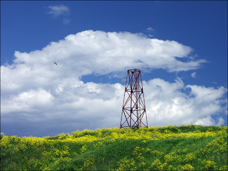 photo "Years, multi-coloured" tags: landscape, nature, summer