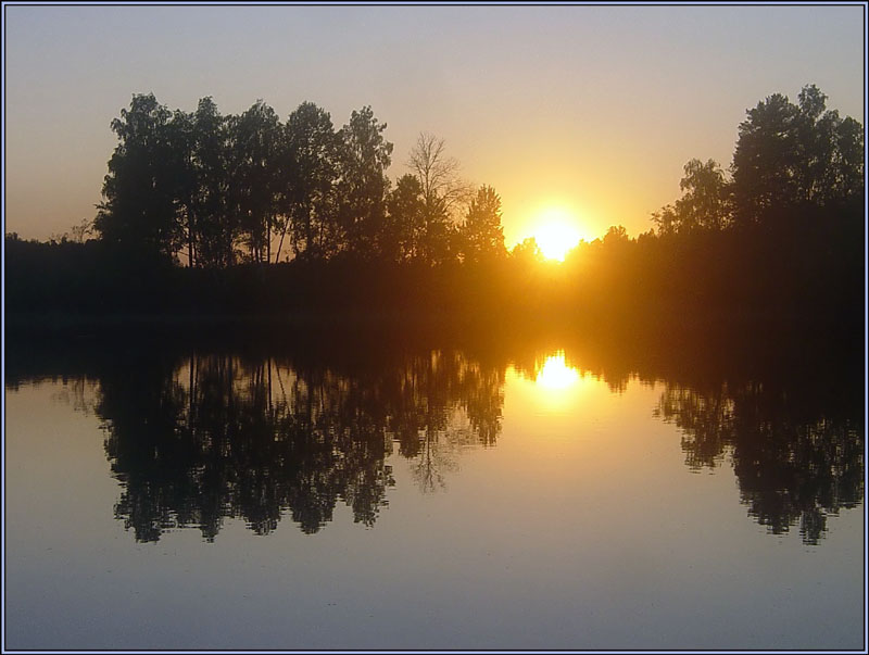 photo "Tishin" tags: landscape, forest, sunset