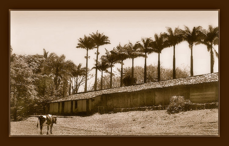 photo "Which is my door?" tags: nature, pets/farm animals