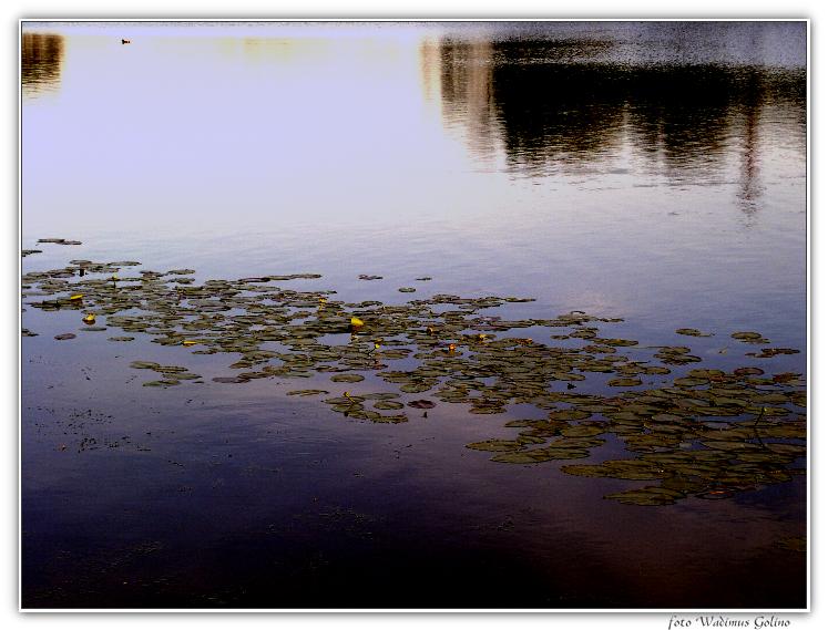 photo "Tormenting oppress evening." tags: landscape, summer, water
