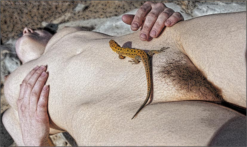фото "ЯщерИца" метки: ню, 