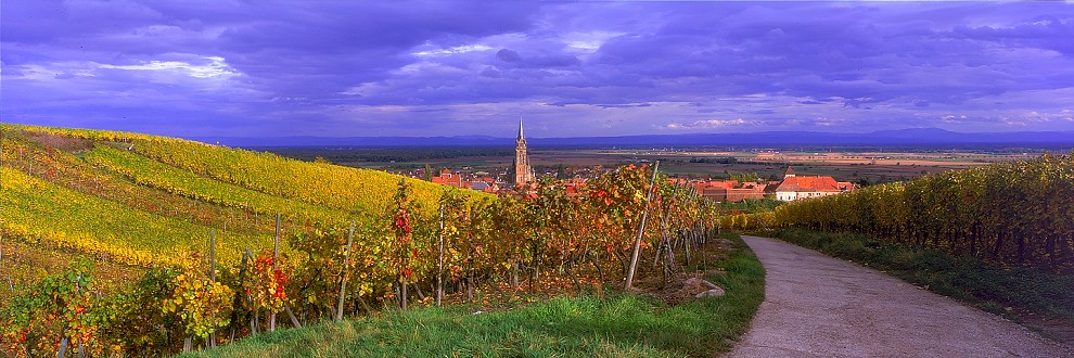 фото "Dambach-la-Ville, Bas-Rhin." метки: путешествия, архитектура, пейзаж, Европа