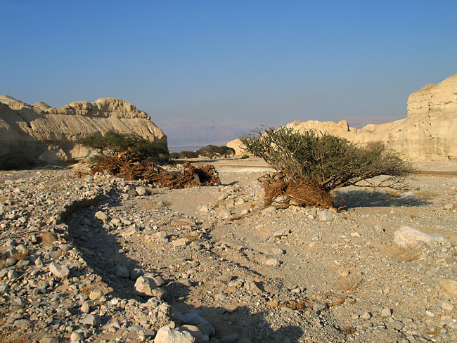 photo "Arava desert" tags: travel, landscape, Asia