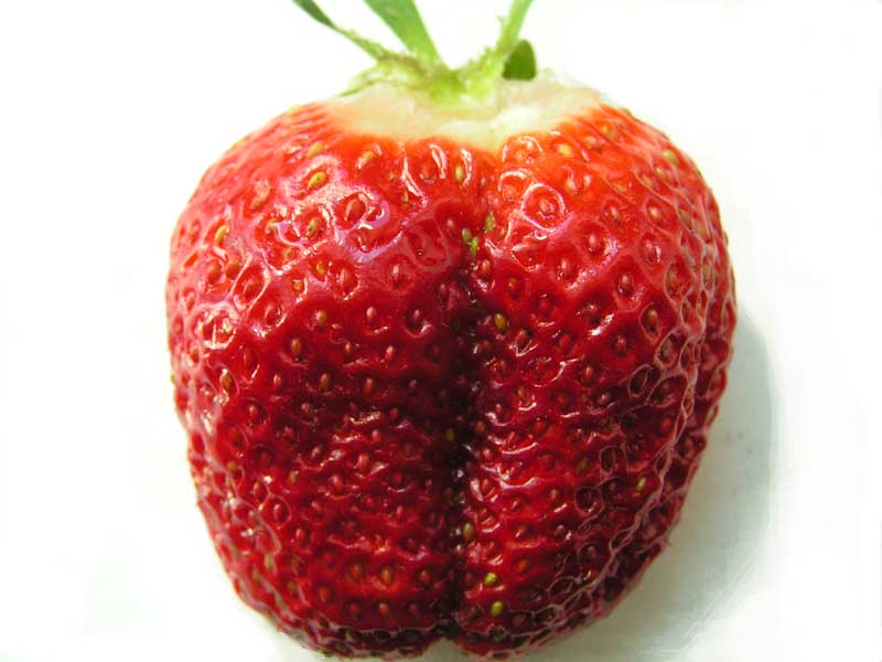 photo "The Sexy Strawberry" tags: humor, 