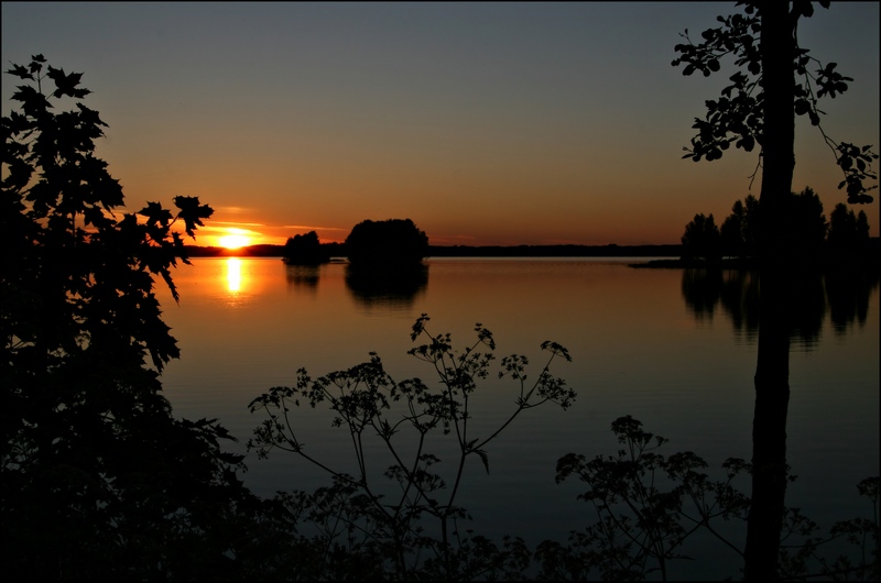 photo "Summer nigh" tags: landscape, sunset