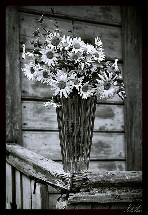 photo "***" tags: still life, black&white, 