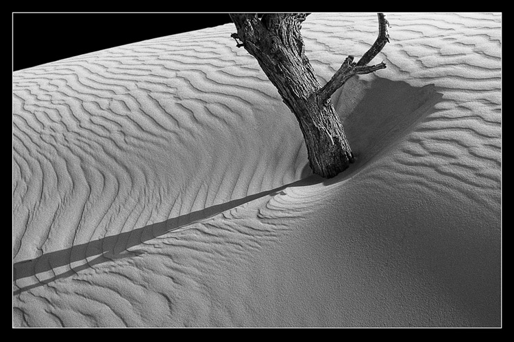 photo "Dune" tags: travel, black&white, Asia