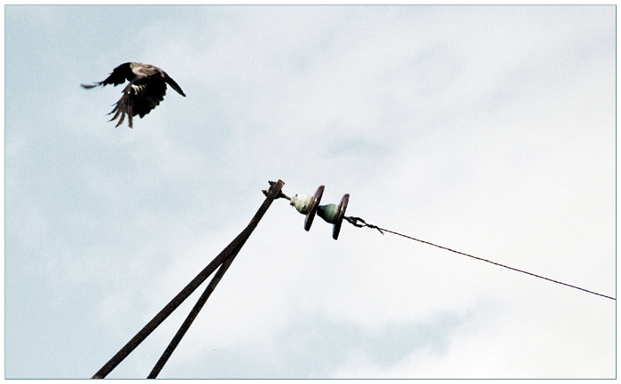 photo "launcher" tags: misc., 