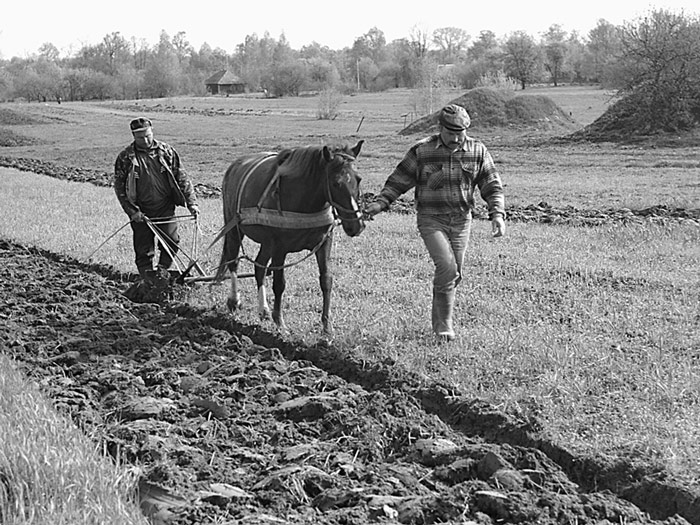 фото "Село. XXI век." метки: жанр, черно-белые, 